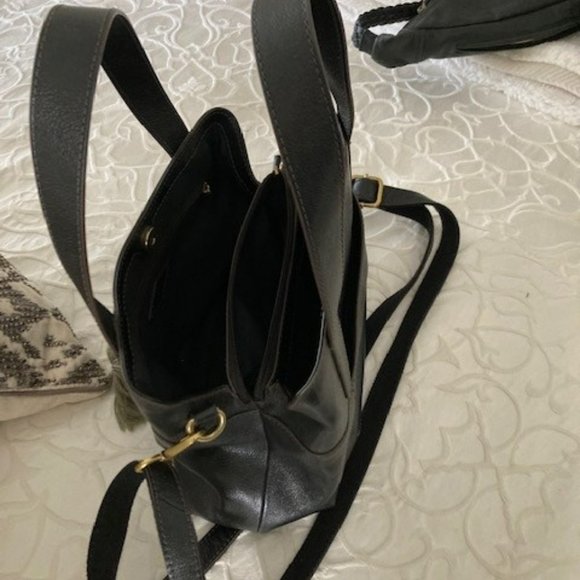 Fossil - Stunning! - Picture 3 of 4